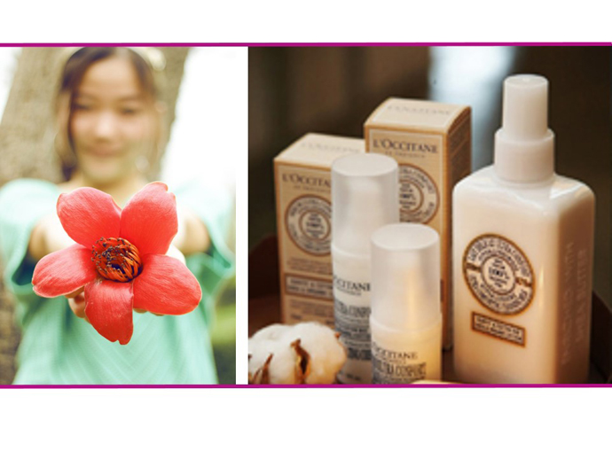 木棉花护肤品系列